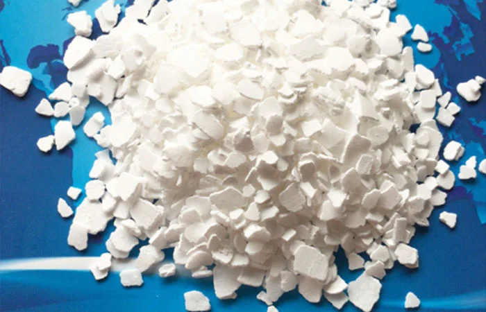 বিস্তৃত অ্যাপ্লিকেশন সহ একটি শীতকালীন অপরিহার্য