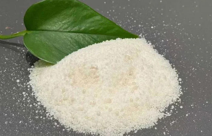 জেন্টলার আইস ফাইটার